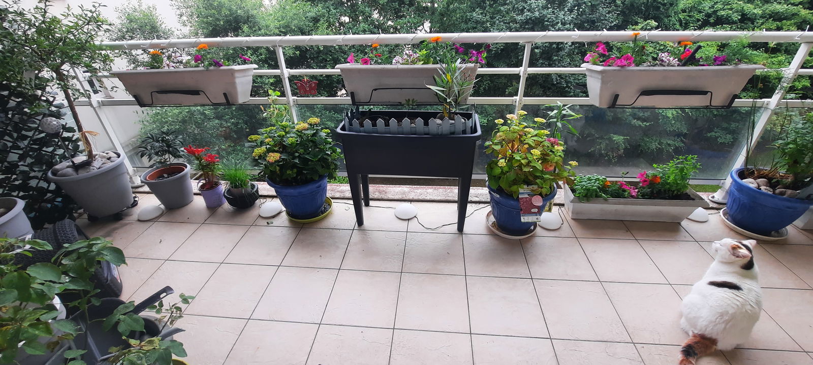 Homestay Corbeil-Essonnes 299049