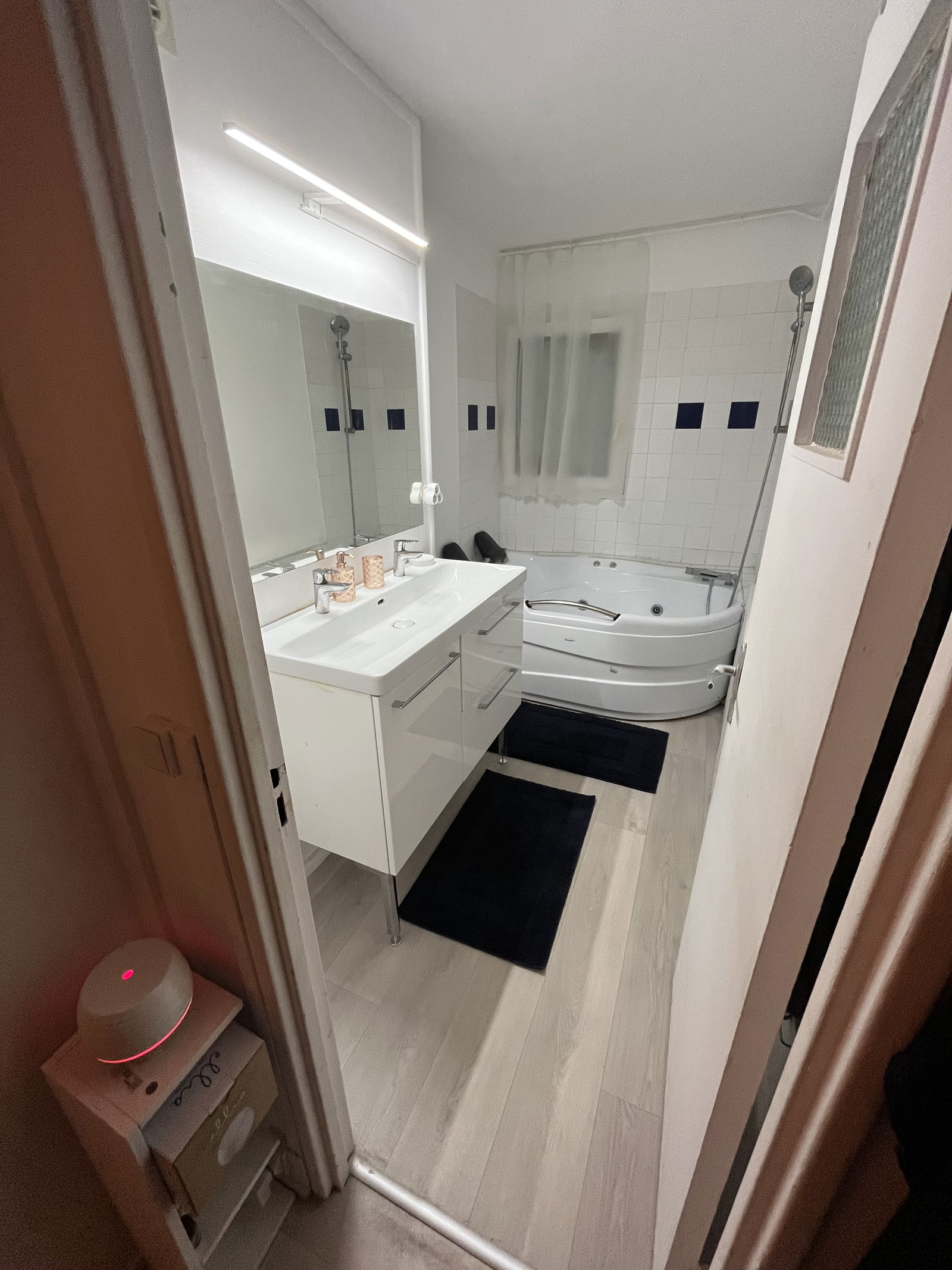 Colocation Le Kremlin-Bicêtre 317332