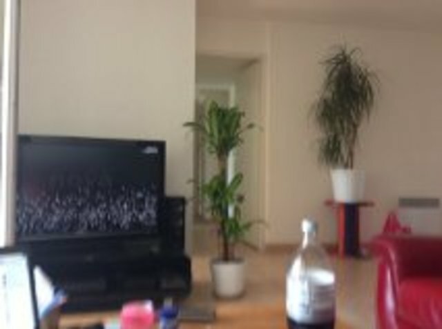 Colocation Marseille 46622