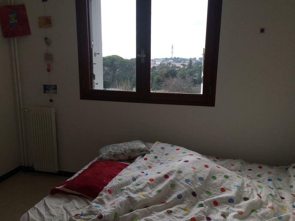 Colocation Montpellier 123392