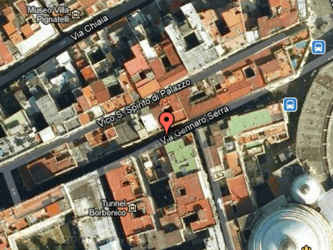 Kolokasie Naples 54038-1