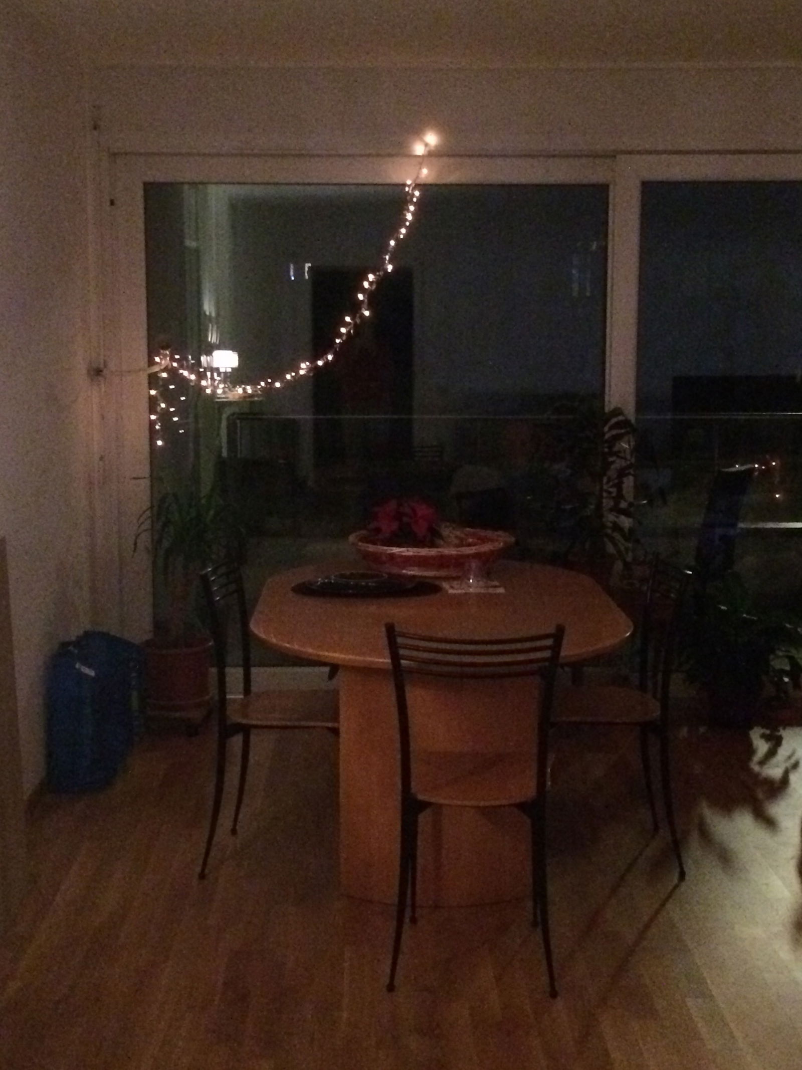 Colocation Vevey 245383