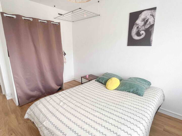 Kolokation Mérignac 309031-2