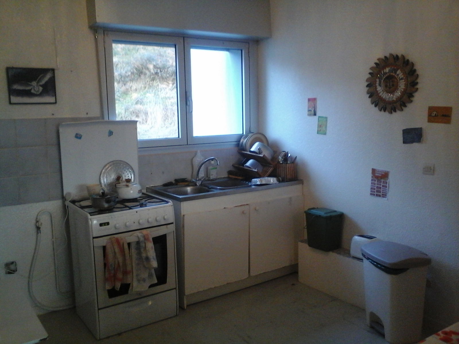 Colocation Oloron-Sainte-Marie 154160