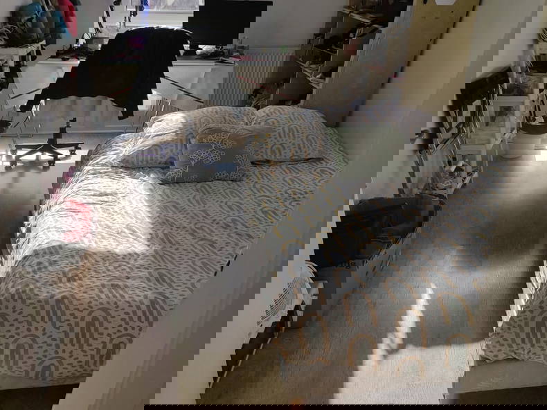 Colocation Strasbourg 390136-1