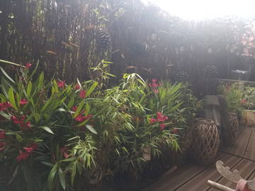 Colocation Bordeaux 267016-8