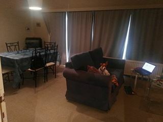 Colocation Braine-l'Alleud 125257