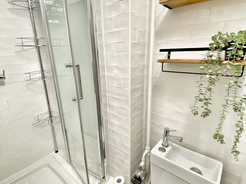 Kolokasie Montreuil 267502-5