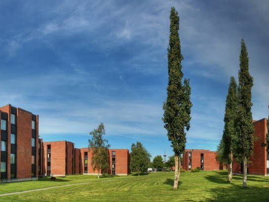 Quedarse En Casa Trondheim 153379-1