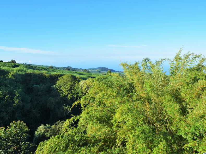 Colocación Saint-Pierre 248889-2