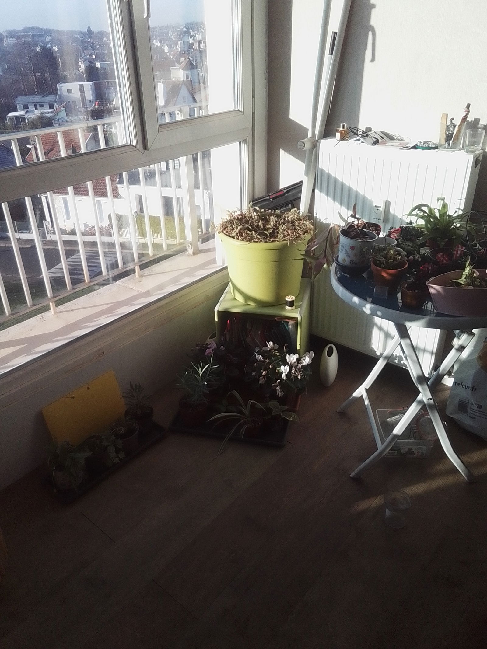 Homestay Le Havre 644446