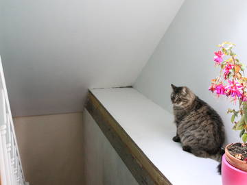 Chambre Chez L'habitant Chaingy 82778-7