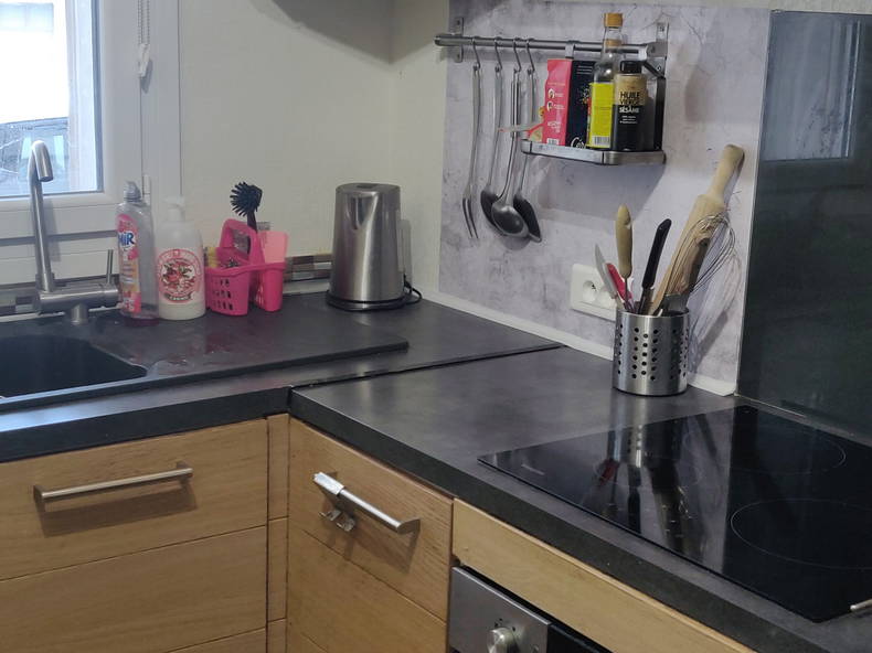 Colocation Toulouse 284450-5