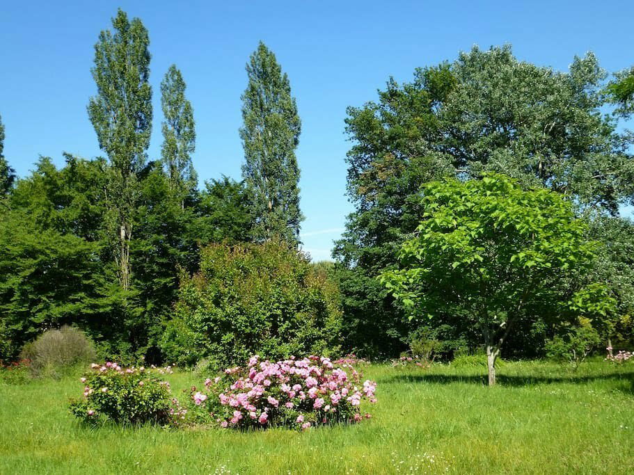 Colocation Prigonrieux 114843