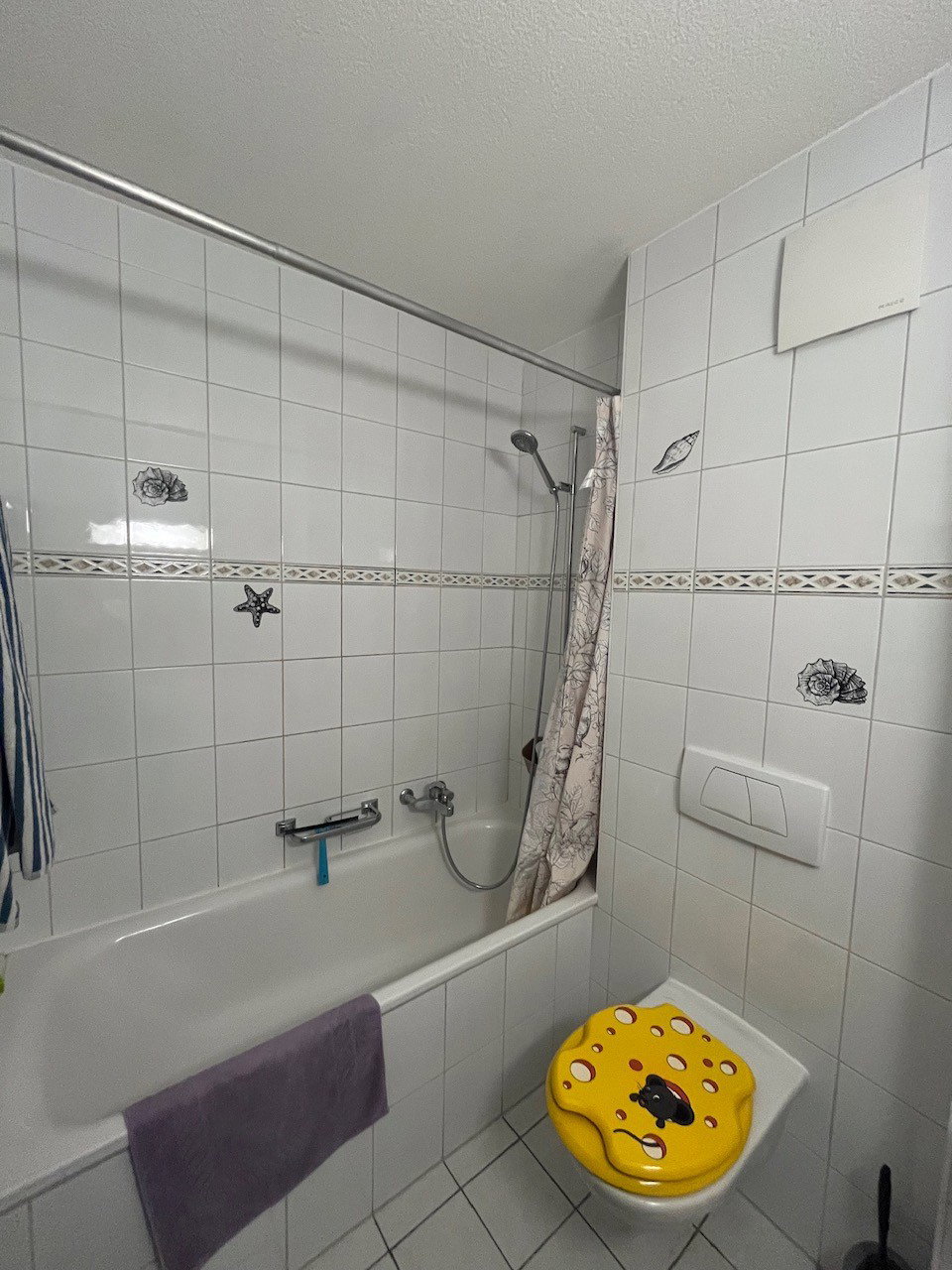 Shared Housing Fribourg 667682