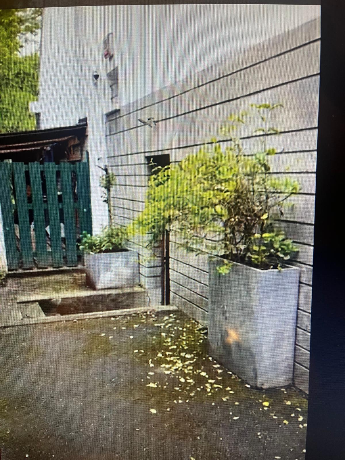 Homestay La Celle-Saint-Cloud 376744