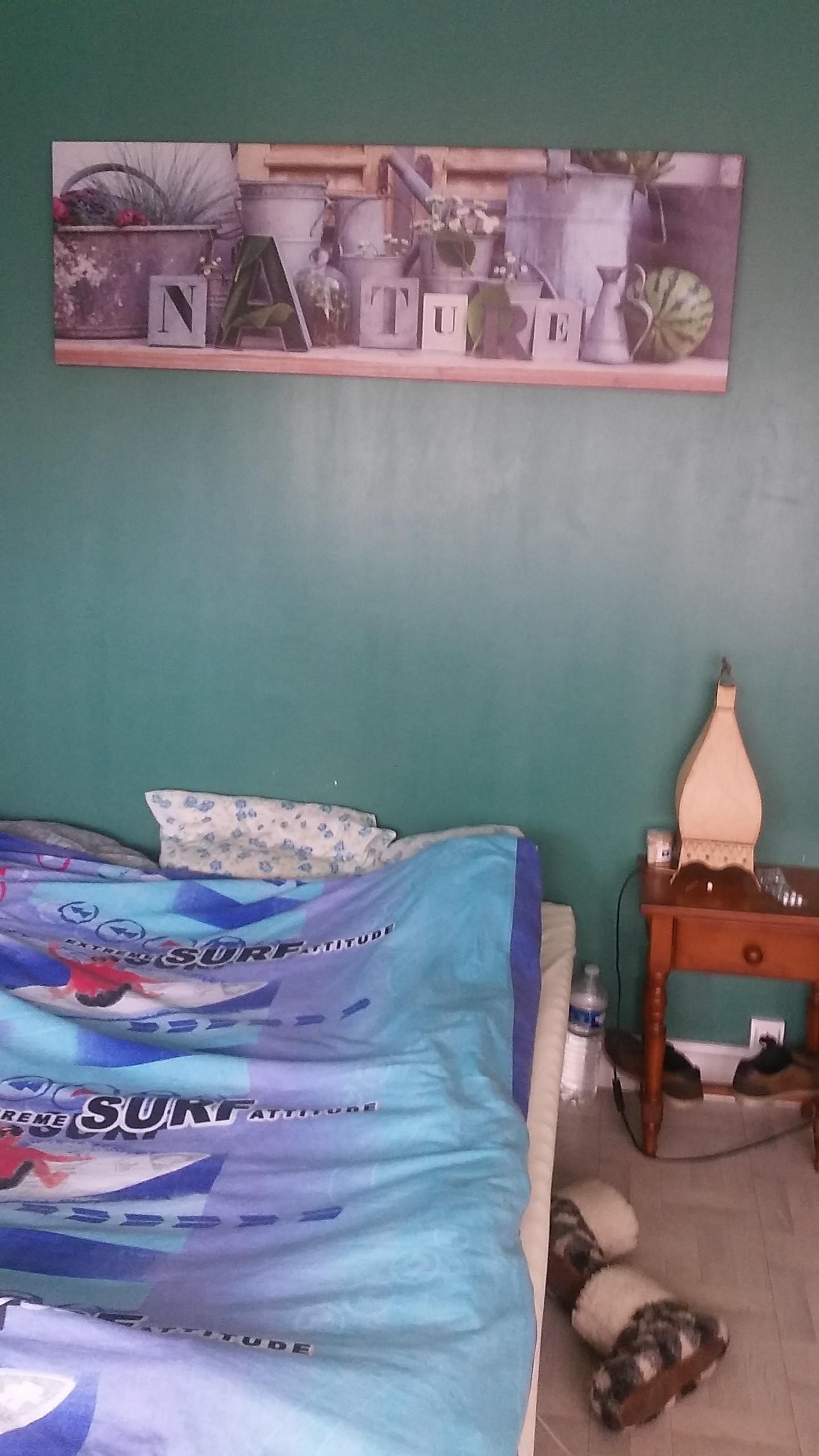 Colocation Pontoise 160470