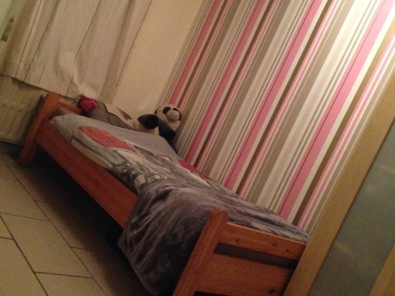 Colocation Saint-Nicolas 217847-2