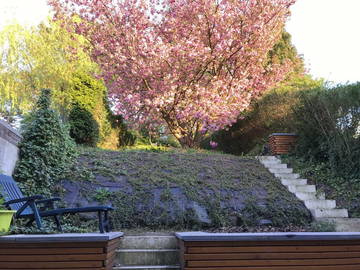 Colocation Saint-Nicolas 217847-7