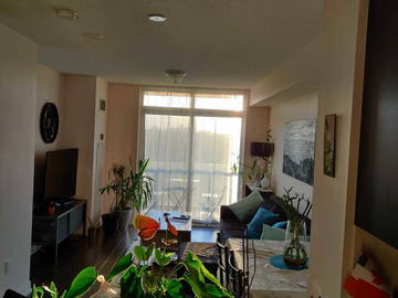 Room For Rent Toronto 243491