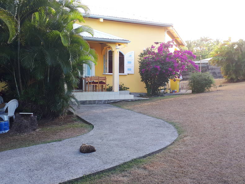 Colocation Le François 258057-4