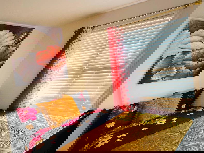 Kolokation Trois-Rivières 473272-4