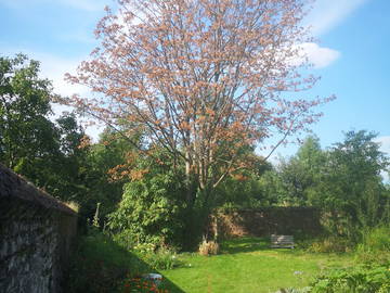 Colocation Charleroi 329090-7