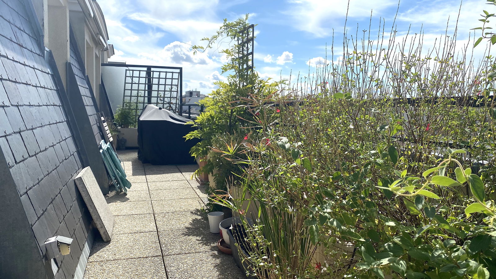 Colocation Montrouge 257690