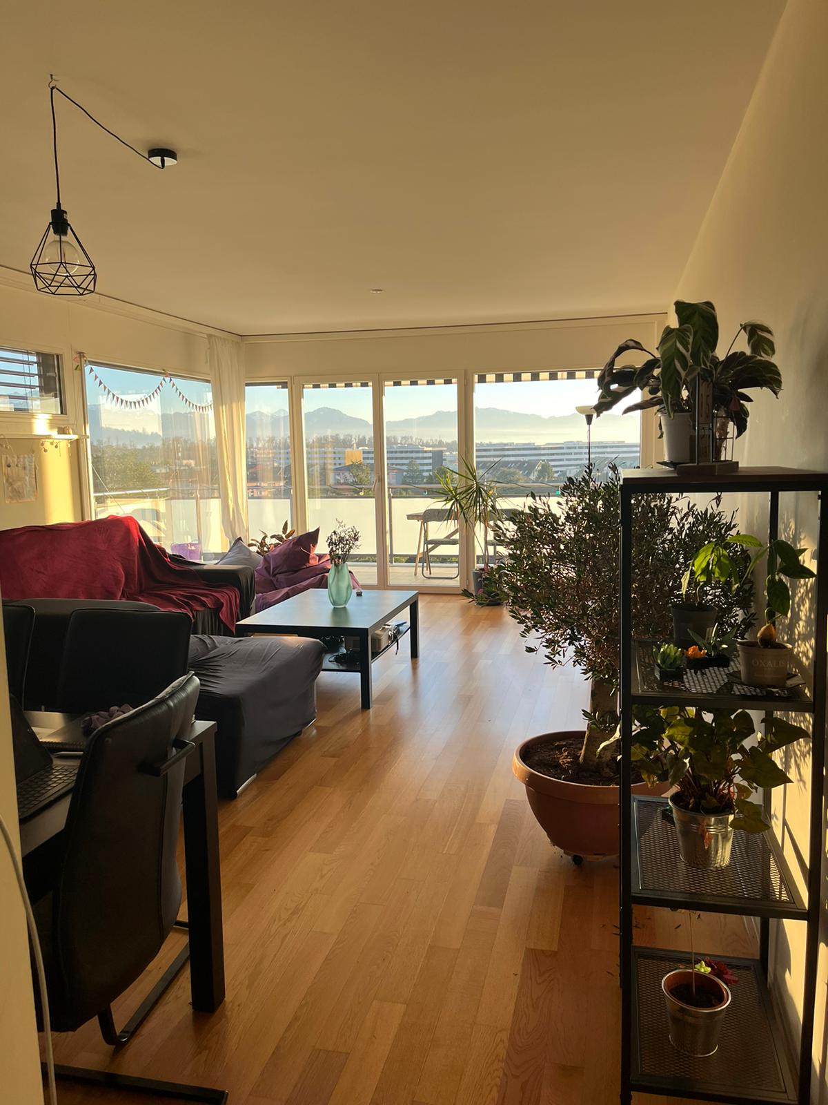 Homestay Bussigny 320702