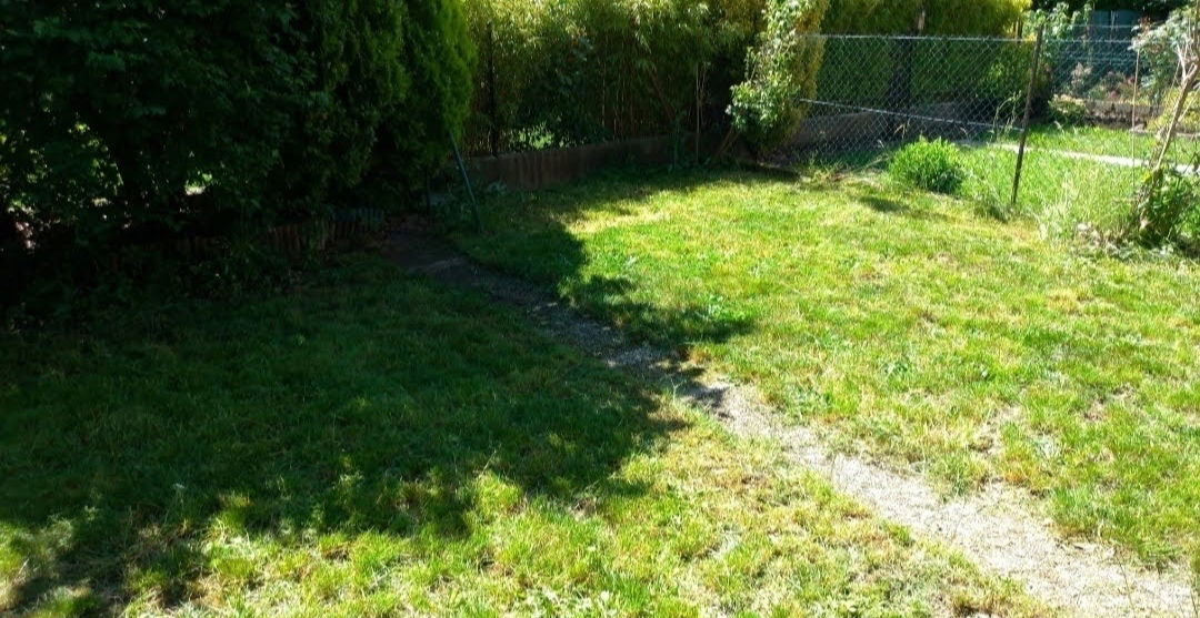 Colocation Thionville 253330