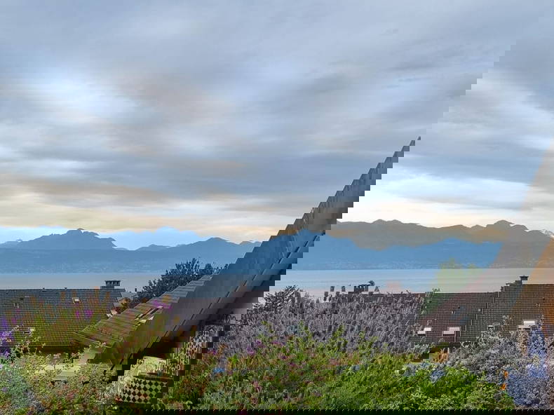 Colocation Pully 388481-1