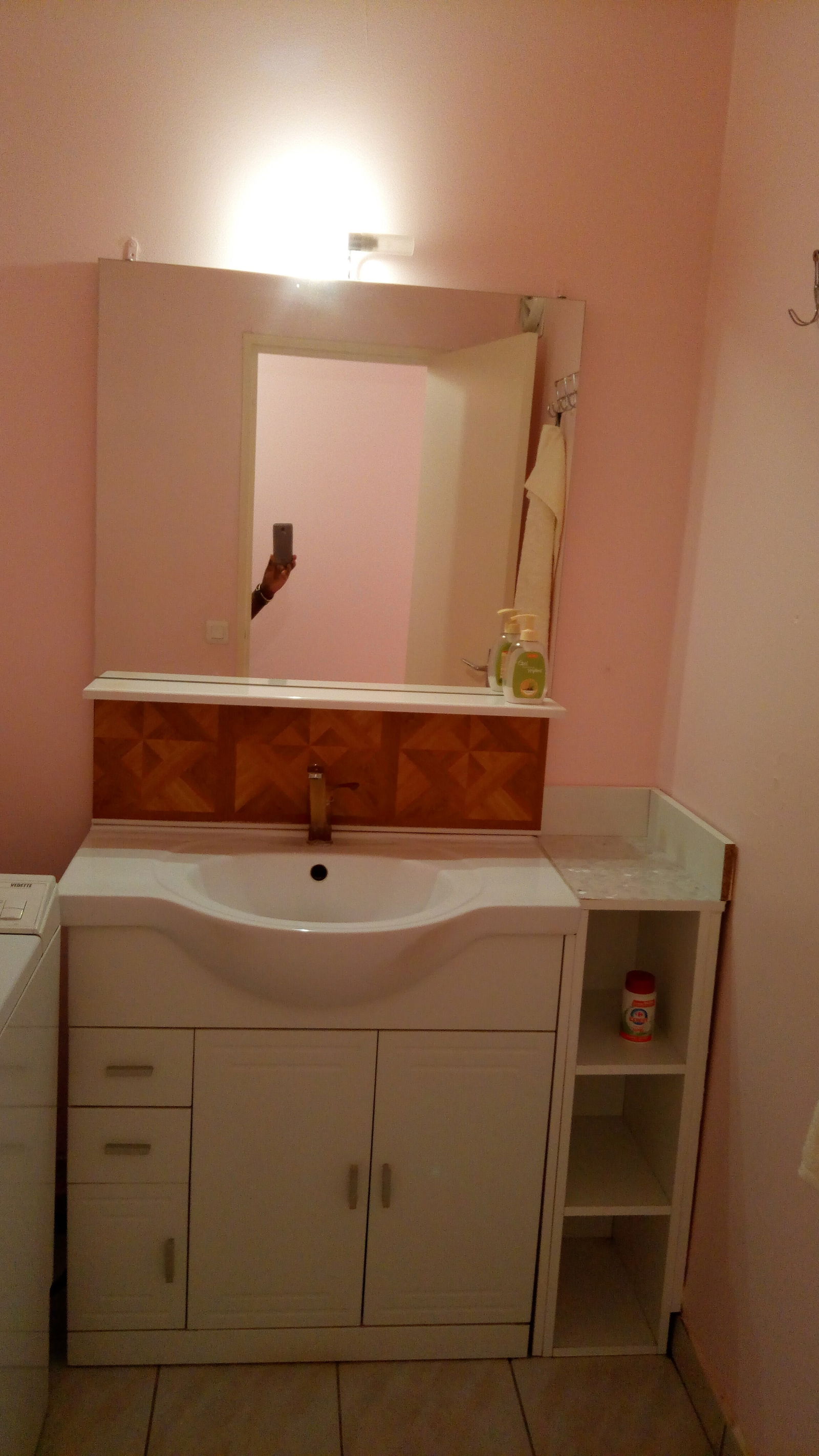 Colocation Vénissieux 243253