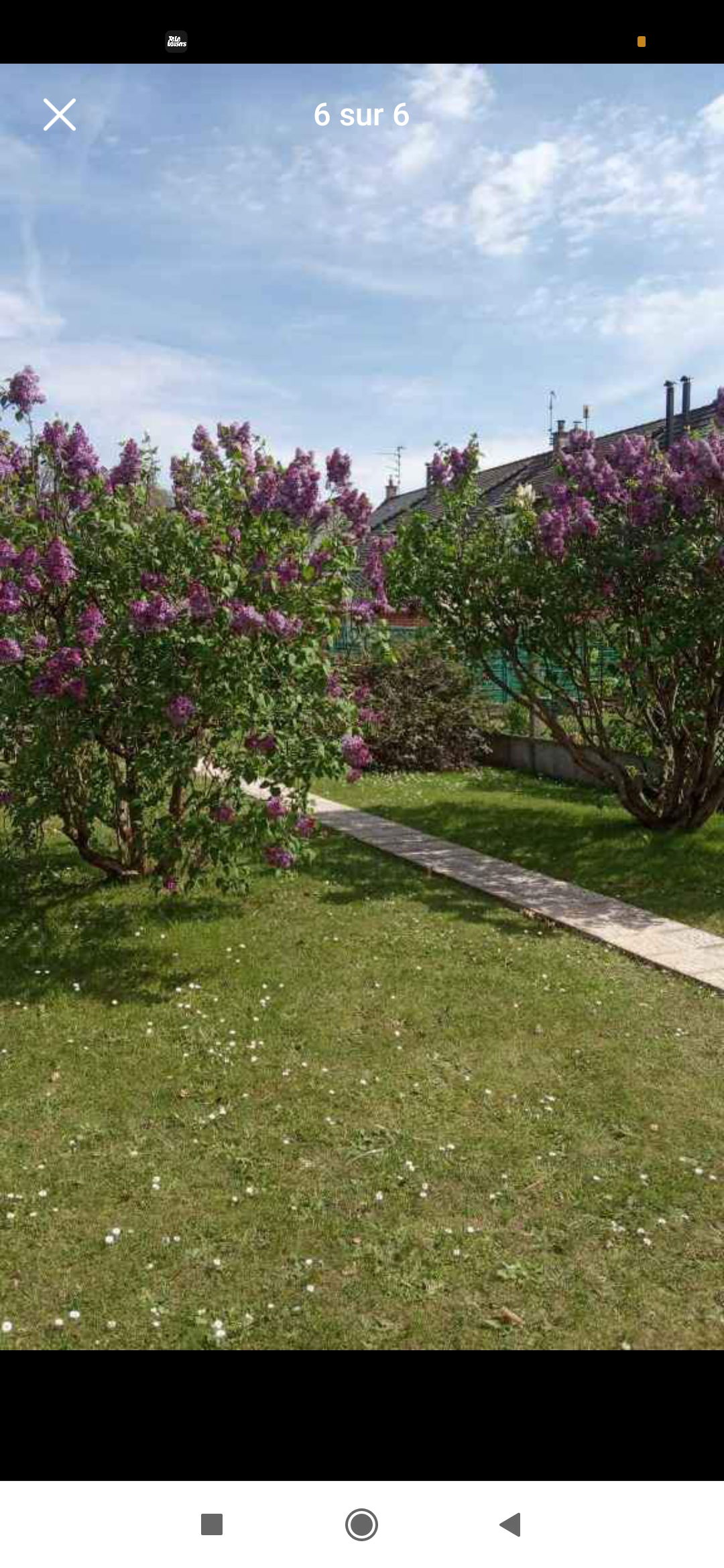 Homestay Carvin 412713