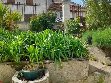 Colocation Archiac 266131-5