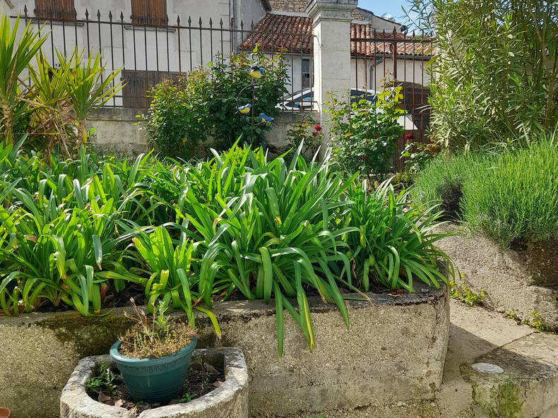 Kolokacja Archiac 266131-5