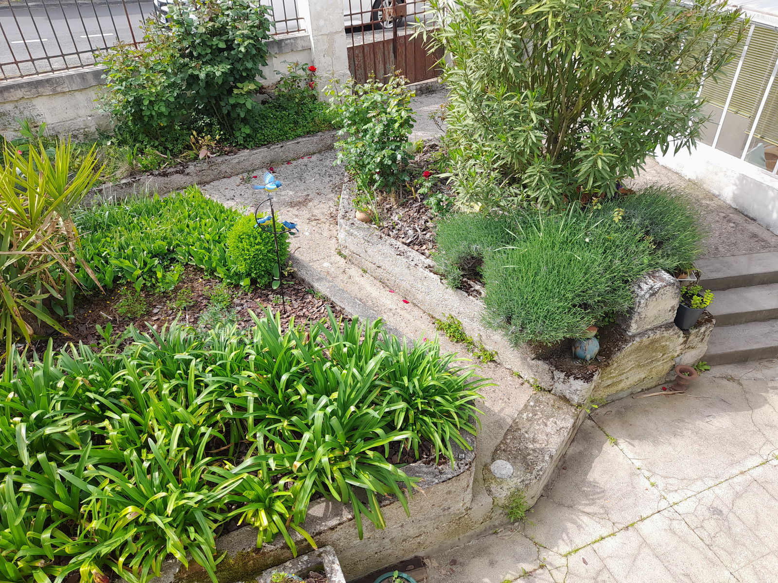 Colocation Archiac 266131