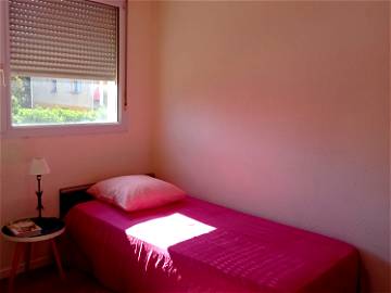 Roomlala | Shared Studio 10 Minutes From The Avignon Festival On Foot
