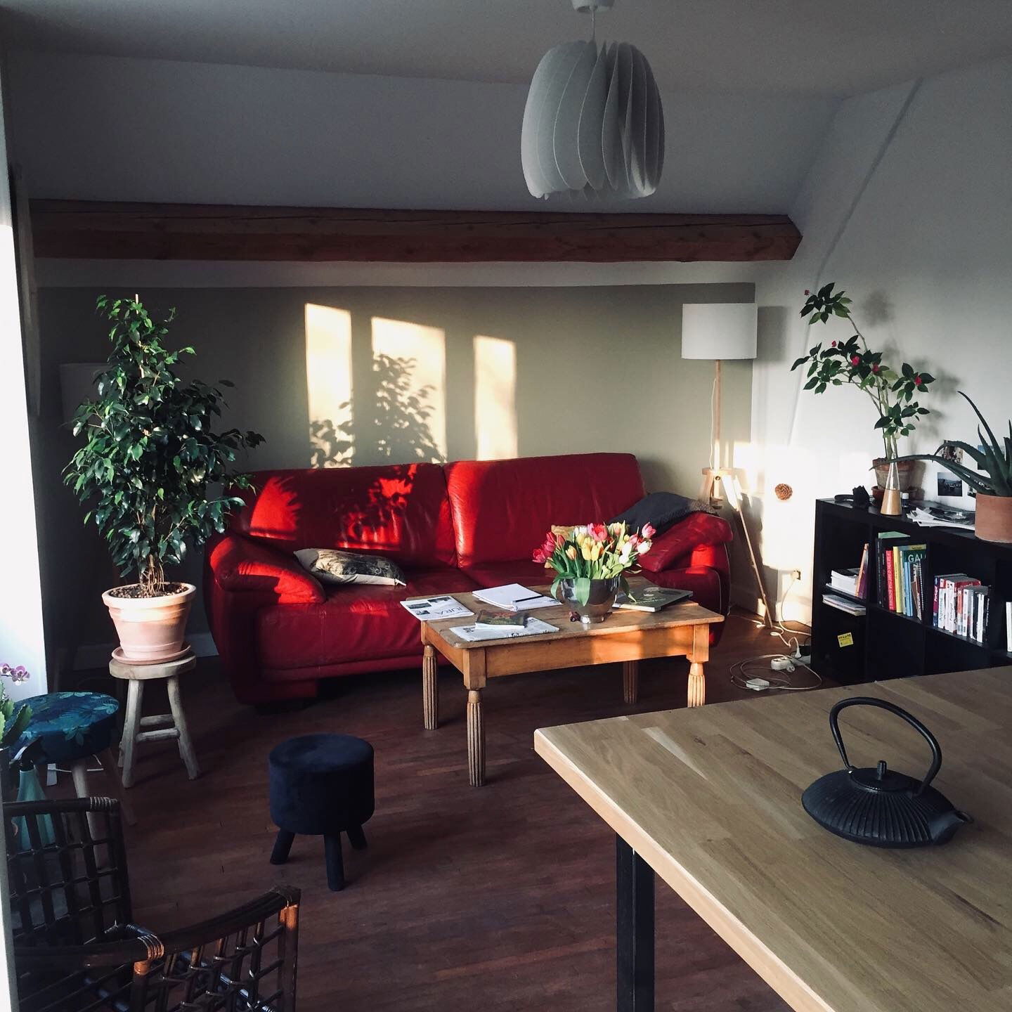 Colocation Beaune 253842