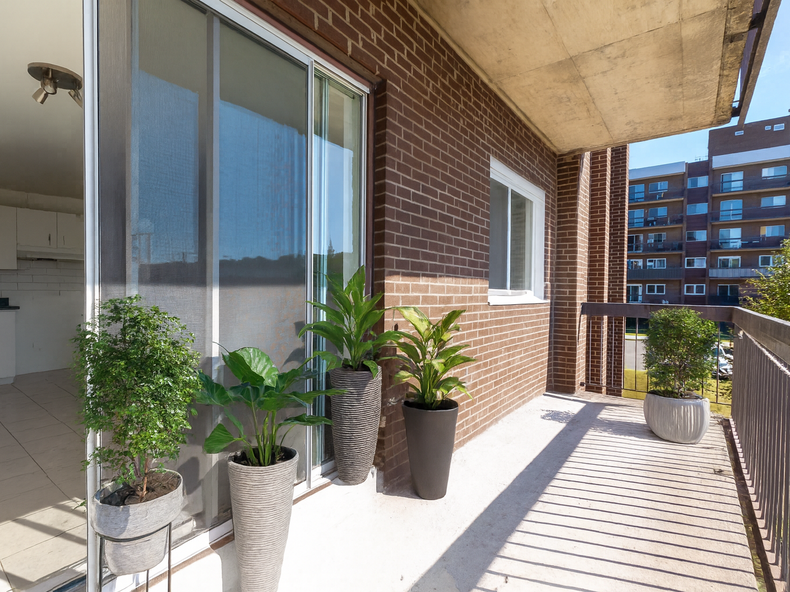 Kolokasie Sherbrooke 654329-3