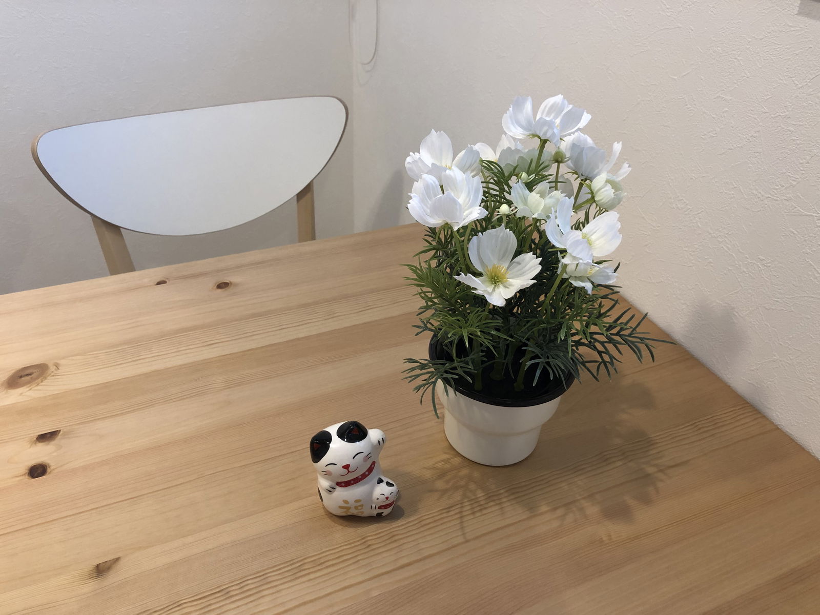 Onafhankelijke Studio Shinjuku City 265506