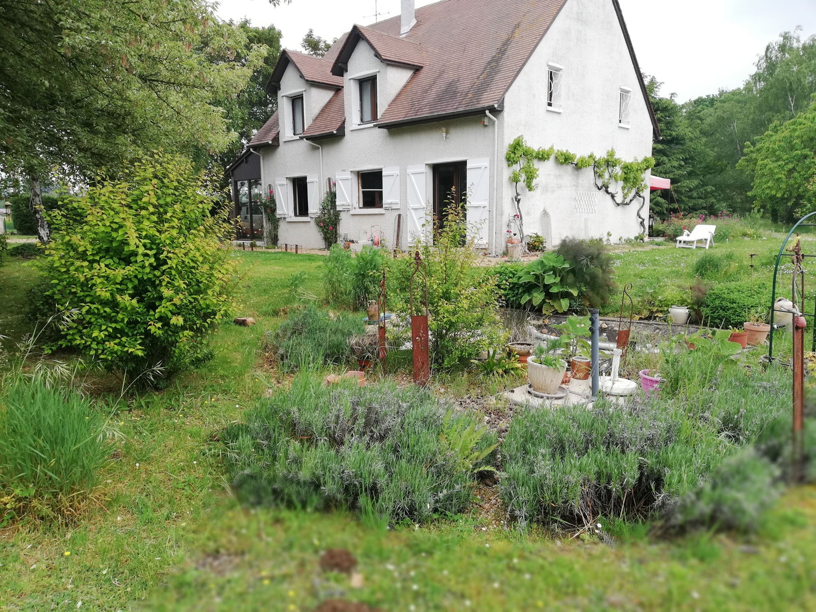 Homestay Chaveignes 225669