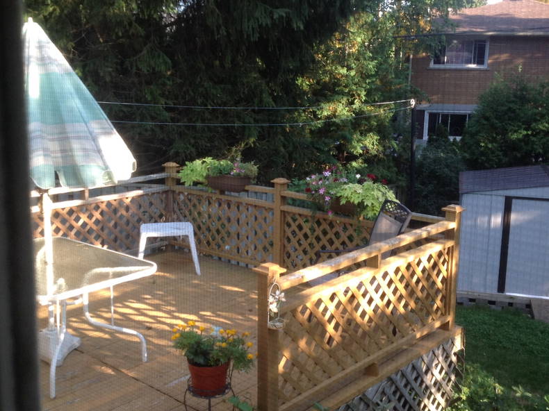 Homestay Guelph 148580-4