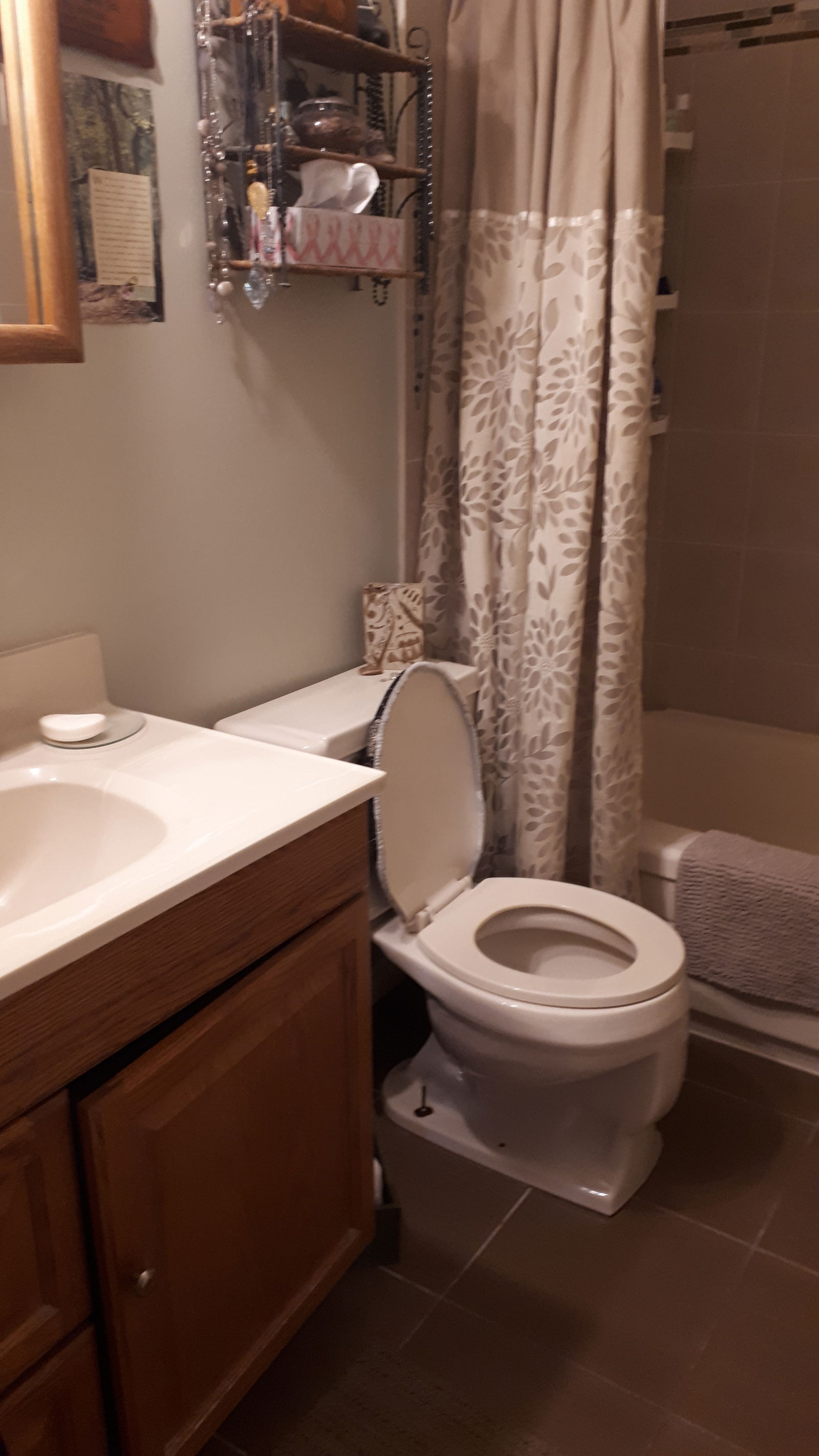 Homestay Guelph 148580