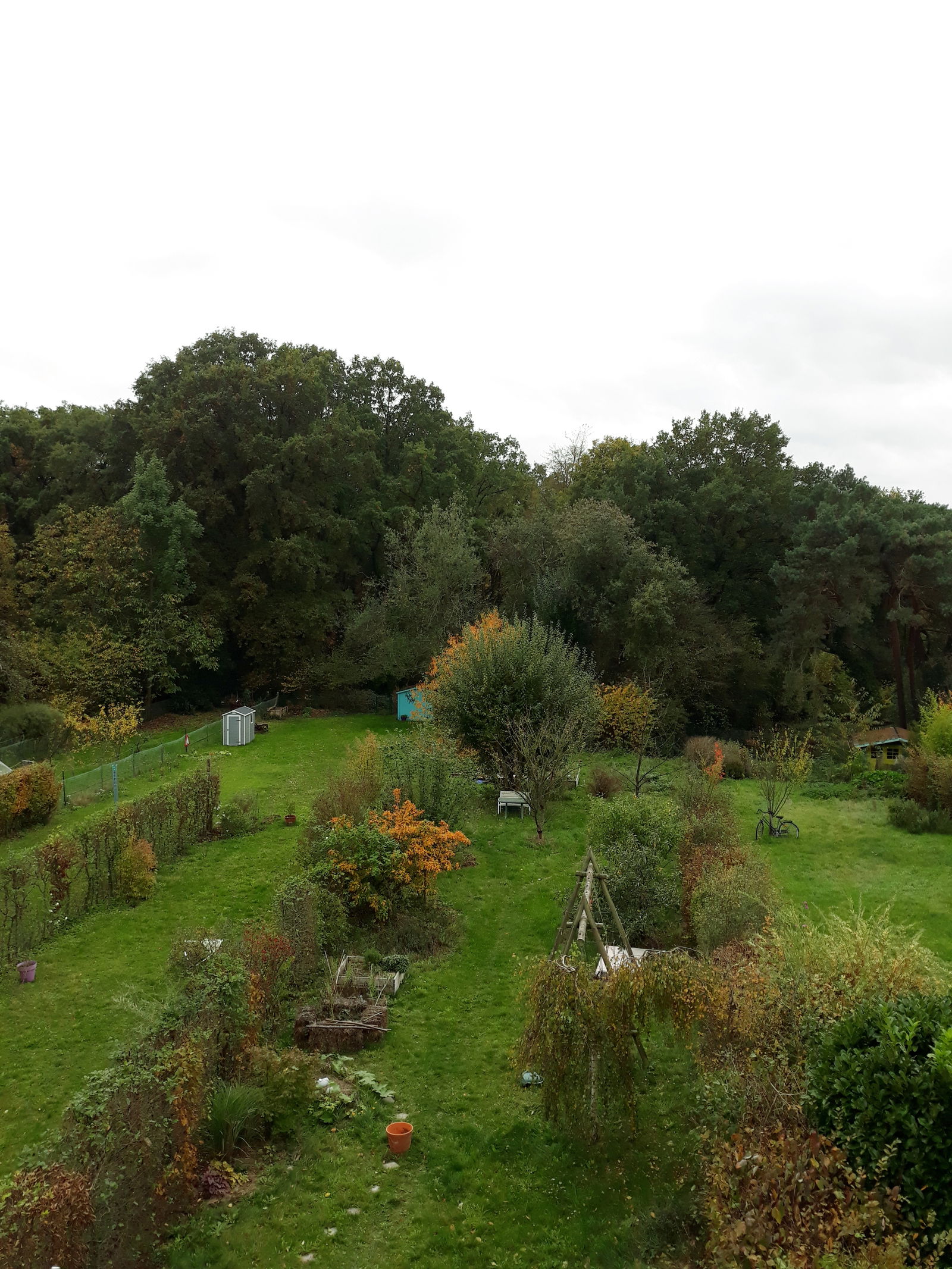 Homestay Ottignies-Louvain-la-Neuve 243012