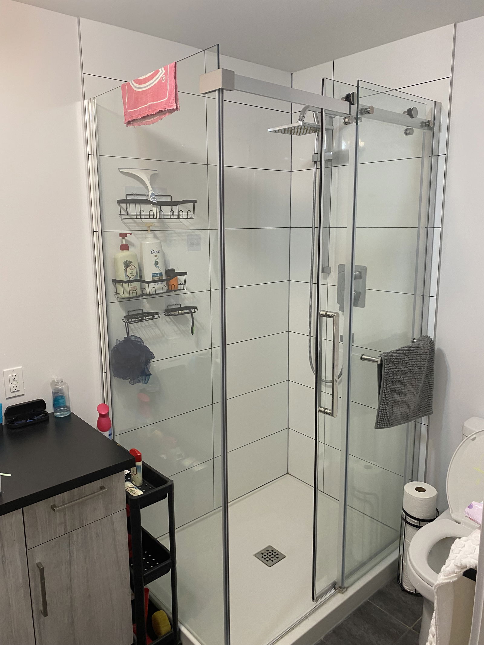 Homestay Longueuil 414180