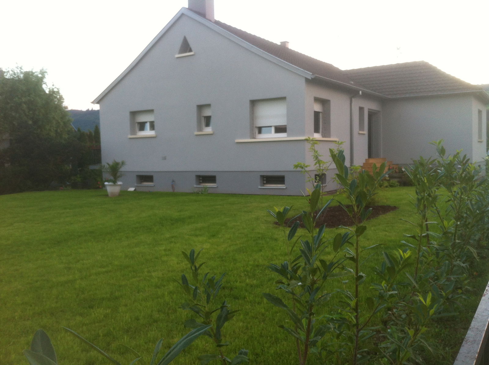 Colocation Wintzenheim 85446