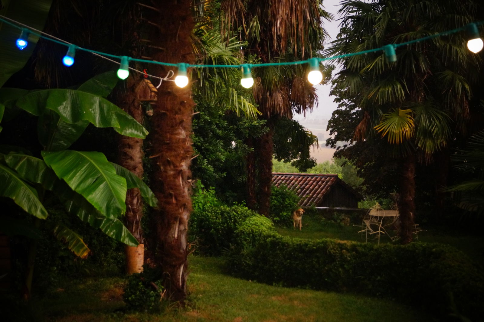 Colocation Fleurance 161313