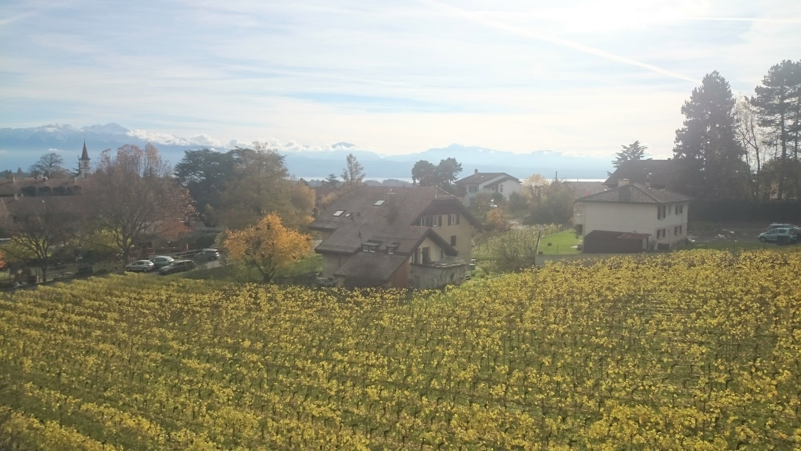 Colocation Echandens 99706