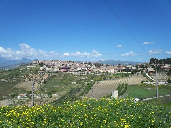 Logement Entier Montedoro 129494