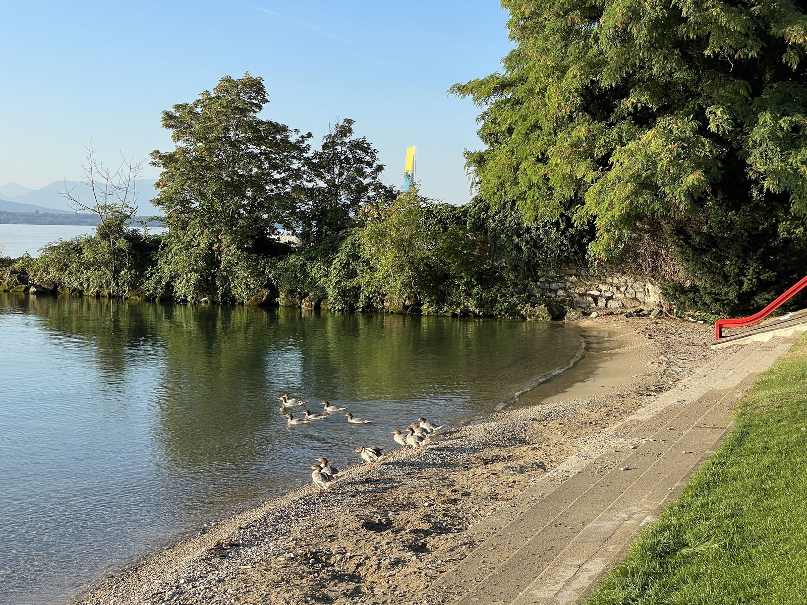 Tutta La Casa Nyon 262057